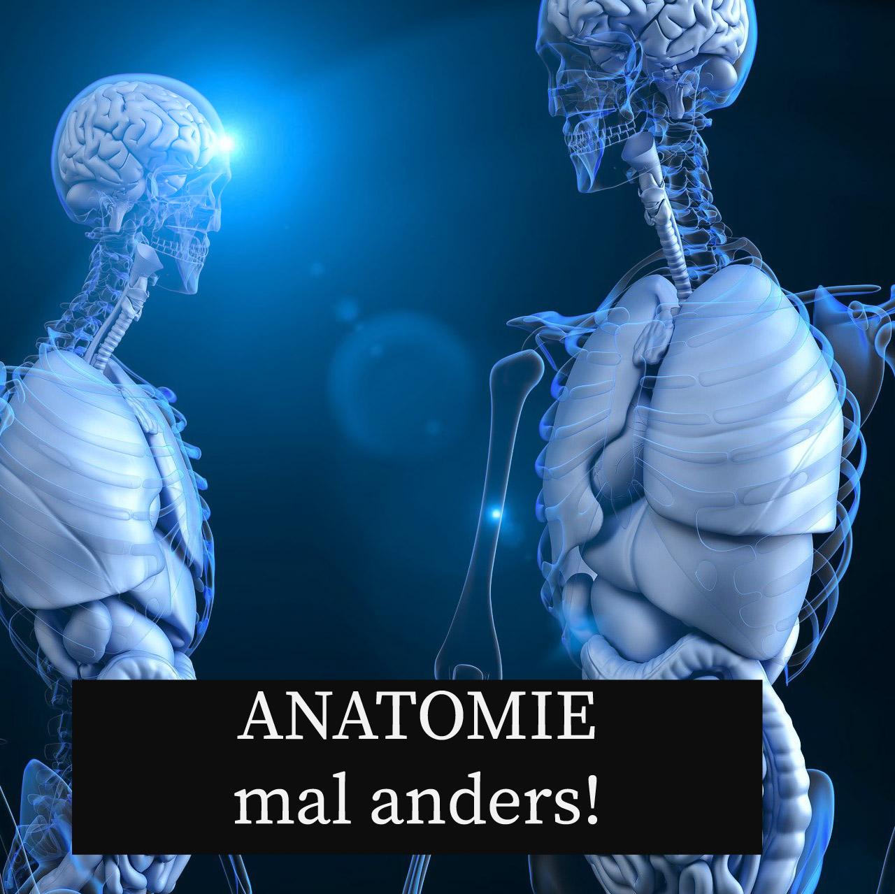 Read more about the article Heilpraktiker Anatomie mal anders