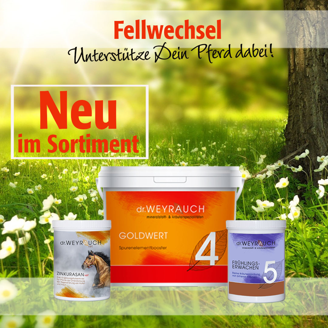 Read more about the article Dr. Weyrauch Produkte