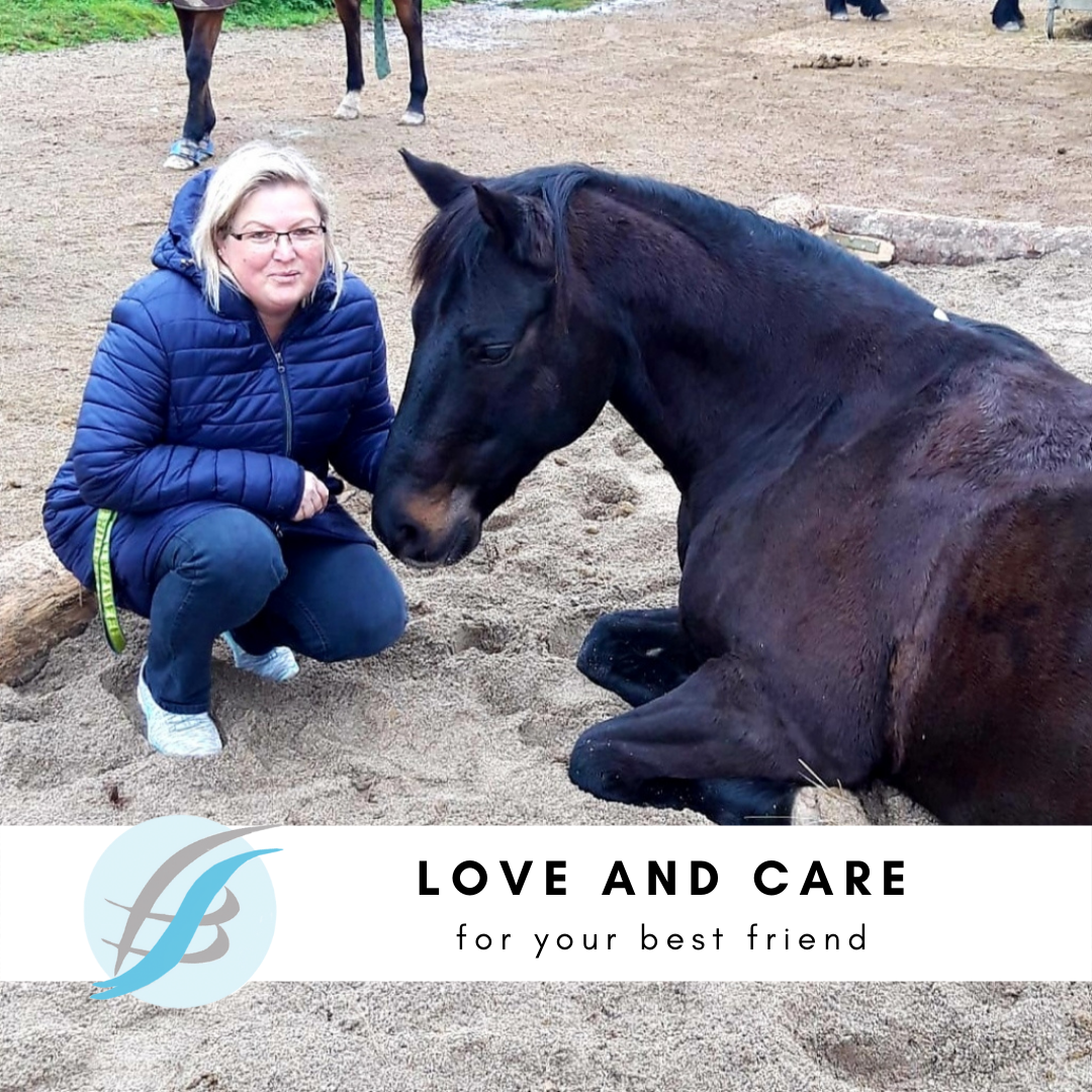 Read more about the article Love & care your best friend